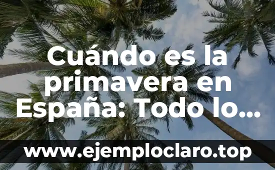 Cuándo es la primavera en España: Todo lo que debes saber