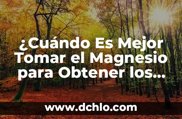 El significado de la expresión tomar de gorra 3 ¿Cuándo Es Mejor Tomar el Magnesio para Obtener los Máximos Beneficios?
