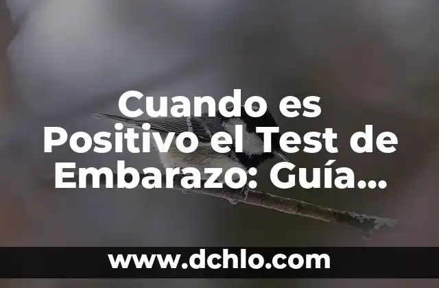 ¿Cuál es el Mejor Momento para Hacer un Test de Embarazo? 4 Cuando es Positivo el Test de Embarazo: Guía Completa