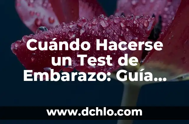 ¿Cuál es el Mejor Momento para Hacer un Test de Embarazo? 8 Cuándo Hacerse un Test de Embarazo: Guía Detallada y Completa
