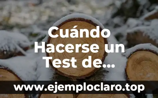 Cuándo Hacerse un Test de Embarazo: Guía Detallada y Completa