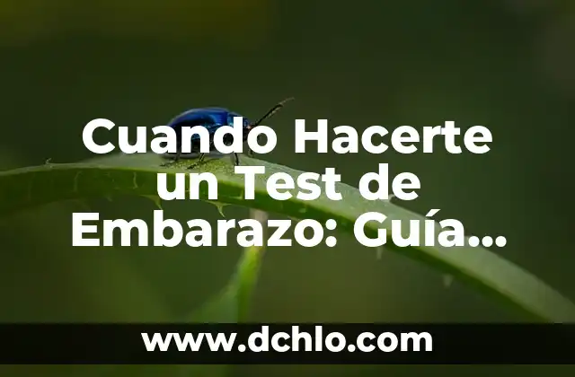 ¿Cuál es el Mejor Momento para Hacer un Test de Embarazo? 7 Cuando Hacerte un Test de Embarazo: Guía Completa y Actualizada