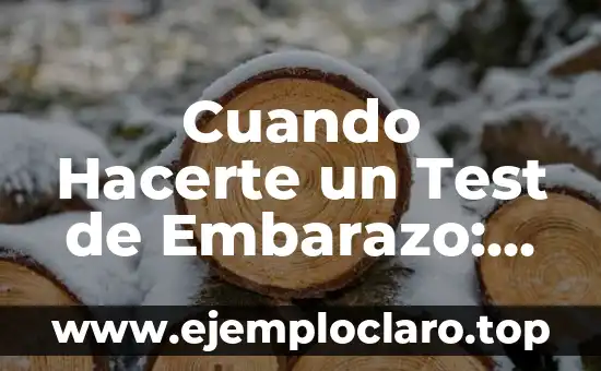 Cuando Hacerte un Test de Embarazo: Guía Completa y Actualizada