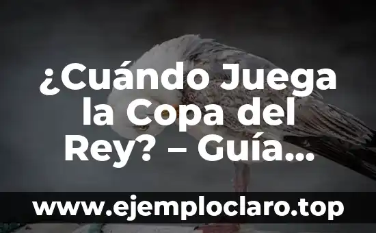 ¿Cuándo Juega la Copa del Rey? – Guía Completa de la Competición Española