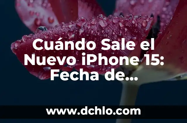 ¿Dónde sale la sangre de la menstruación? Anatomía y explicación detallada 5 Cuándo Sale el Nuevo iPhone 15: Fecha de Lanzamiento y Novedades