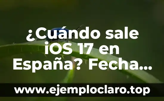 ¿Qué es la arista de un cubo? Definición y características 4 ¿Cuándo sale iOS 17 en España? Fecha de lanzamiento y características