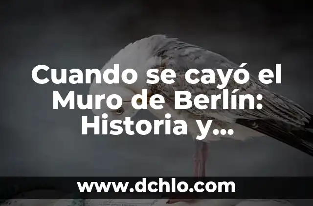 ¿Quién construyó el Muro de Berlín? - Historia y Contexto 5 Cuando se cayó el Muro de Berlín: Historia y Consecuencias