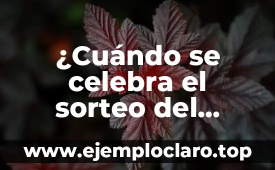 Cuando es el Día de la Amistad en España - Celebración y Tradición 4 ¿Cuándo se celebra el sorteo del Niño? Fecha y tradición detrás de esta celebración