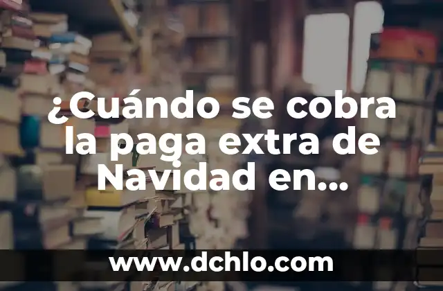 Cuánto Paga TikTok por 1 Millón de Visitas: Guía Completa 8 ¿Cuándo se cobra la paga extra de Navidad en México?