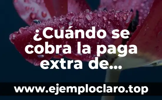 ¿Cuándo se cobra la paga extra de Navidad en México?