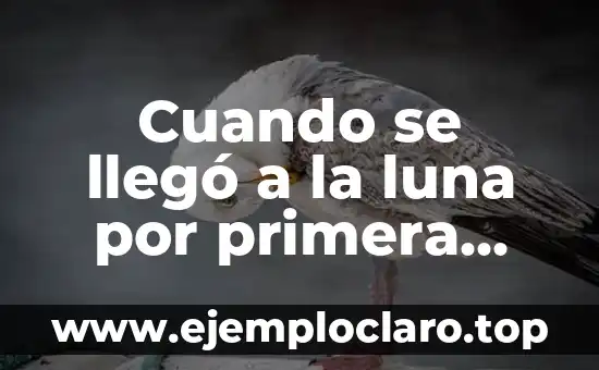 Cuando se llegó a la luna por primera vez: La Historia detrás de la Misión Apolo 11