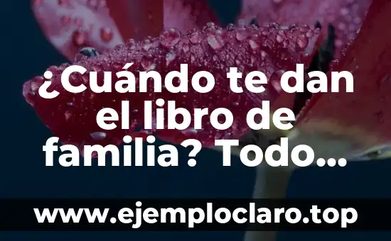 Capítulo 40 de Secretos de Familia: La Verdad sobre la Traición 3 ¿Cuándo te dan el libro de familia? Todo lo que debes saber sobre este importante documento