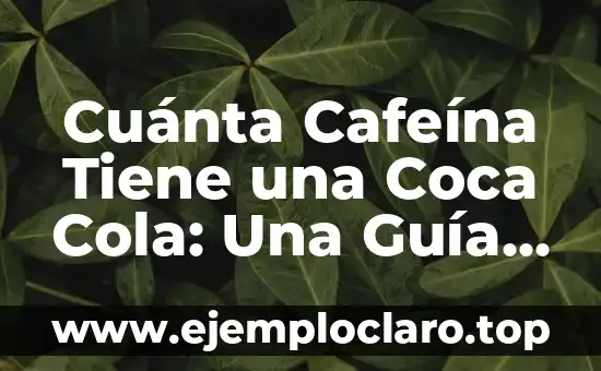¿La Coca Cola es Buena para la Diarrea? Descubre la Verdad 3 Cuánta Cafeína Tiene una Coca Cola: Una Guía Detallada