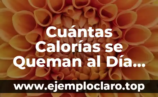 Cuántas Calorías se Queman al Día en Reposo Calculadora: Guía Completa