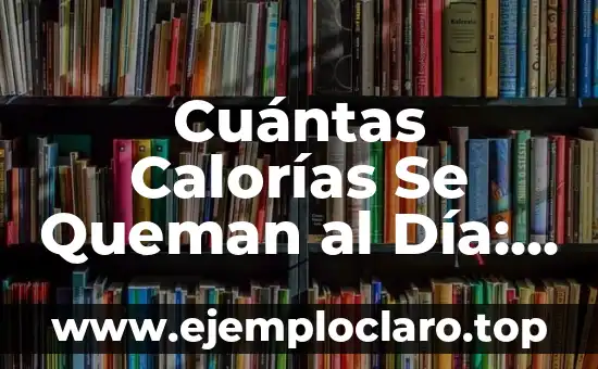 Cuántas Calorías Se Queman al Día: Guía Detallada y Exacta
