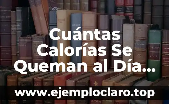 Cuántas Calorías Se Queman al Día sin Hacer Nada