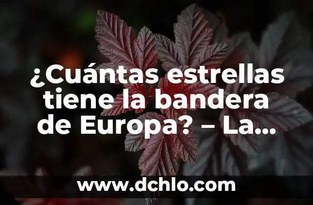 Países que Conforman la Unión Europea 8 ¿Cuántas estrellas tiene la bandera de Europa? – La historia detrás de la bandera europea