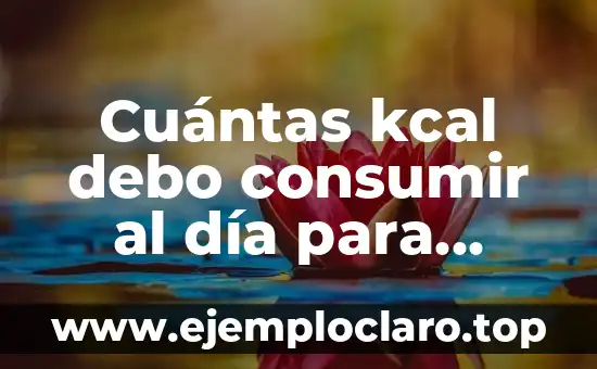Cuántas kcal debo consumir al día para bajar de peso: Una guía detallada