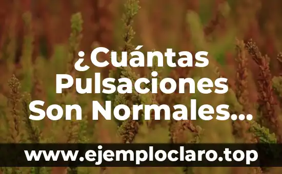 ¿Cuántas Pulsaciones Son Normales por Minuto? – Ritmo Cardíaco Ideal