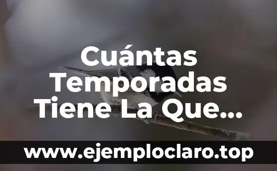 Cuántas veces ha ido el hombre a la luna: Un recorrido por la historia de la exploración lunar 4 Cuántas Temporadas Tiene La Que Se Avecina: Una Guía Completa