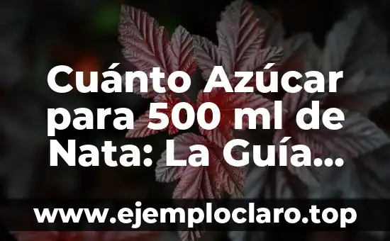 Como hacer nata para montar en Thermomix 6 Cuánto Azúcar para 500 ml de Nata: La Guía Definitiva