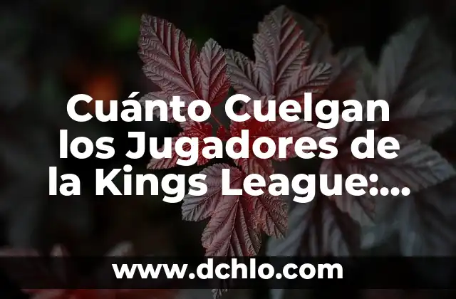 Quién Ha Ganado la Kings League - Resultados y Ganadores de la Competencia de Fútbol 6 Cuánto Cuelgan los Jugadores de la Kings League: Salarios y Premios