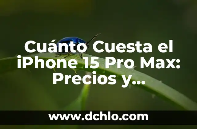 El Significado del Grunge: Orígenes, Características y Legado 6 Cuánto Cuesta el iPhone 15 Pro Max: Precios y Características