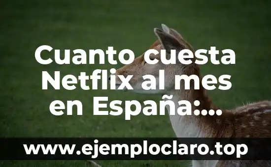 Cuanto cuesta Netflix al mes en España: Guía completa