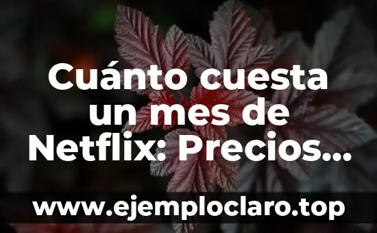 Cuánto cuesta un mes de Netflix: Precios y planes actuales