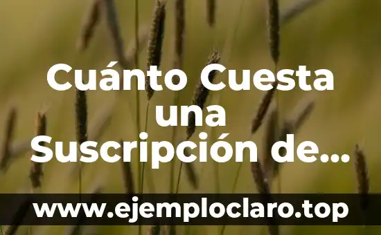 Cuánto Cuesta una Suscripción de Netflix: Precio y Planes