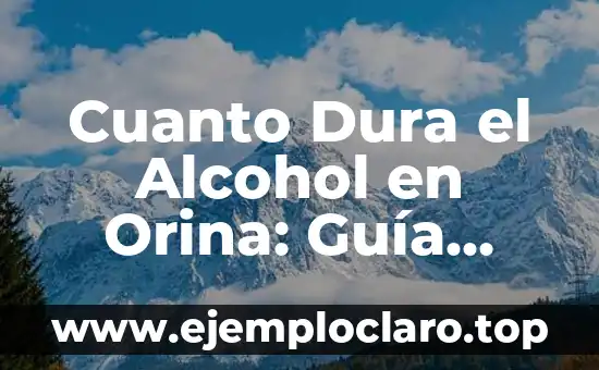 Cuanto Dura el Alcohol en Orina: Guía Definitiva