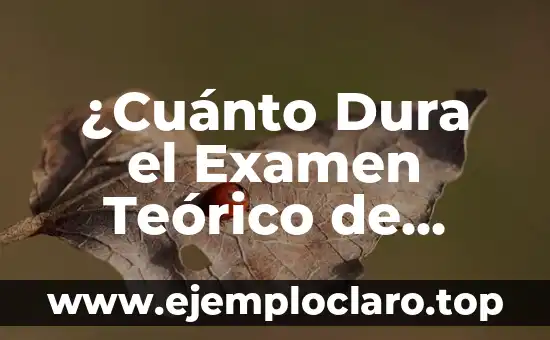 ¿Cuánto Dura el Examen Teórico de Conducir? | Modelo de Examen y Tiempo de Duración
