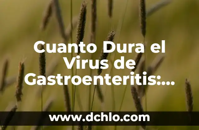 Cómo saber cuanto dura una pala de padel: Guía completa 7 Cuanto Dura el Virus de Gastroenteritis: ¿Cuánto Tiempo Dura la Enfermedad?