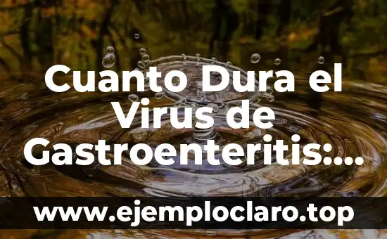 Cuanto Dura el Virus de Gastroenteritis: ¿Cuánto Tiempo Dura la Enfermedad?