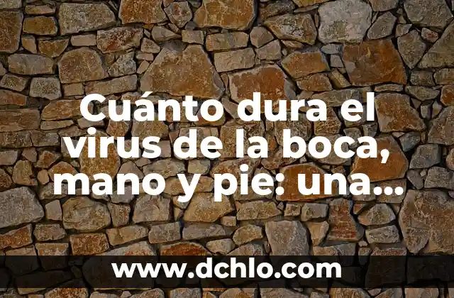 Cuánto Dura la Gala de los Óscares 4 Cuánto dura el virus de la boca, mano y pie: una guía completa