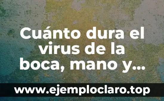¿Cuánto Dura una Historia de Ig? Análisis y Consejos 5 Cuánto dura el virus de la boca, mano y pie: una guía completa