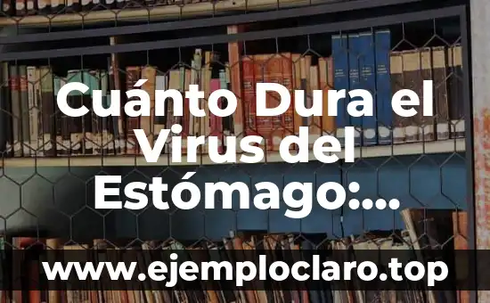 Cuánto Dura el Virus del Estómago: ¡Descubre la Respuesta!