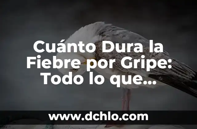 Cómo saber cuanto dura una pala de padel: Guía completa 4 Cuánto Dura la Fiebre por Gripe: Todo lo que Necesitas Saber