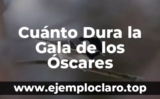 Cuánto dura el virus de la boca, mano y pie: una guía completa 4 Cuánto Dura la Gala de los Óscares