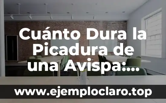 Cuánto Dura la Picadura de una Avispa: Todo lo que Necesitas Saber