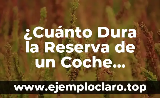 ¿Cuánto Dura la Reserva de un Coche Online?