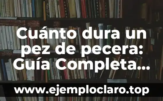 Cuánto dura un pez de pecera: Guía Completa y Actualizada