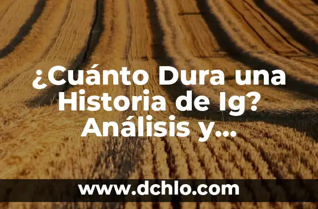 Cuánto Dura la Gala de los Óscares 5 ¿Cuánto Dura una Historia de Ig? Análisis y Consejos