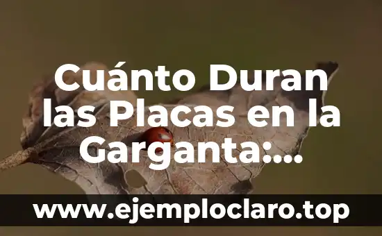 Cuánto Duran las Placas en la Garganta: Entendiendo la Fonación