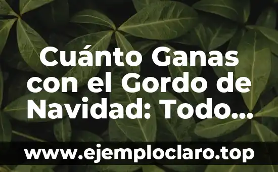 Me Siento Sola y Sin Ganas de Nada: Cómo Superar la Sensación de Abatimiento 3 Cuánto Ganas con el Gordo de Navidad: Todo lo que Necesitas Saber