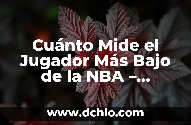 ¿Quién es el Mejor Jugador de Fútbol del Mundo? 7 Cuánto Mide el Jugador Más Bajo de la NBA – Descubre la Verdad