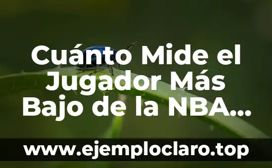 Cuánto Mide el Jugador Más Bajo de la NBA – Descubre la Verdad