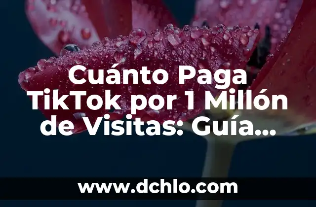 ¿Cuándo se cobra la paga extra de Navidad en México? 3 Cuánto Paga TikTok por 1 Millón de Visitas: Guía Completa