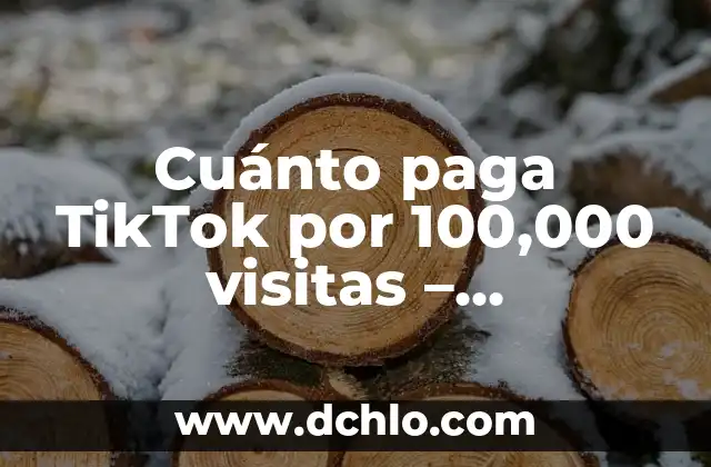 ¿Cuándo se cobra la paga extra de Navidad en México? 5 Cuánto paga TikTok por 100,000 visitas – Monetización en TikTok