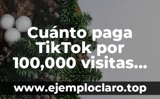Cuánto paga TikTok por 100,000 visitas – Monetización en TikTok